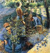 Apple picking Camille Pissarro